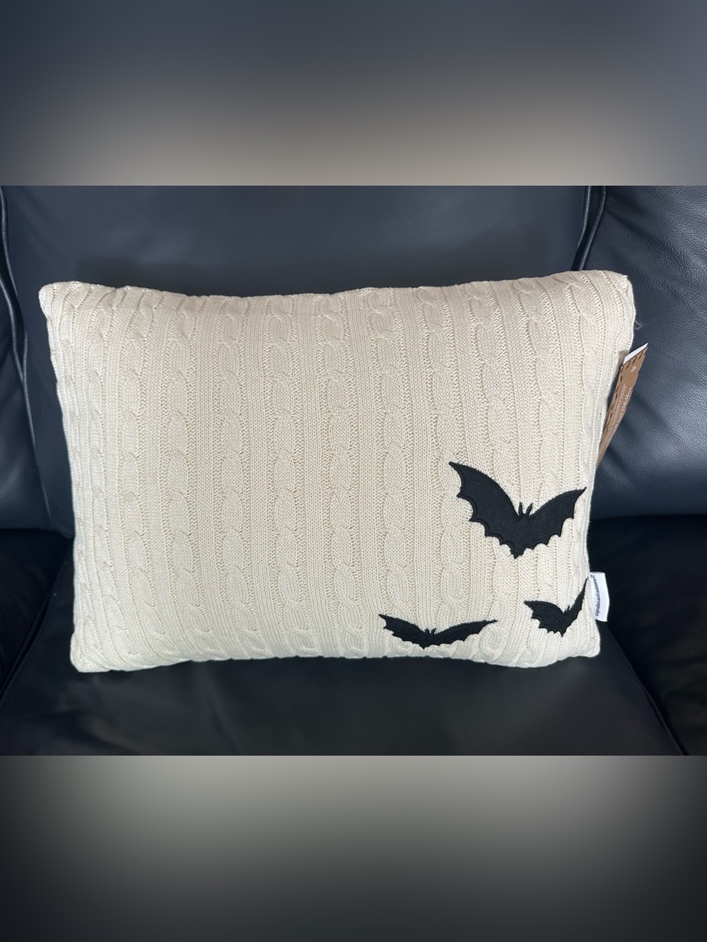 NWT 19”x13” Cream Cable-Knit Throw Pillow Halloween Bats Cupcakes & Cashmere